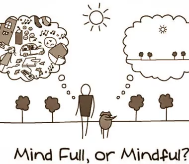 Being Mindful While Handling Dogs