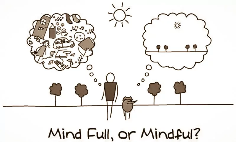 Being Mindful While Handling Dogs