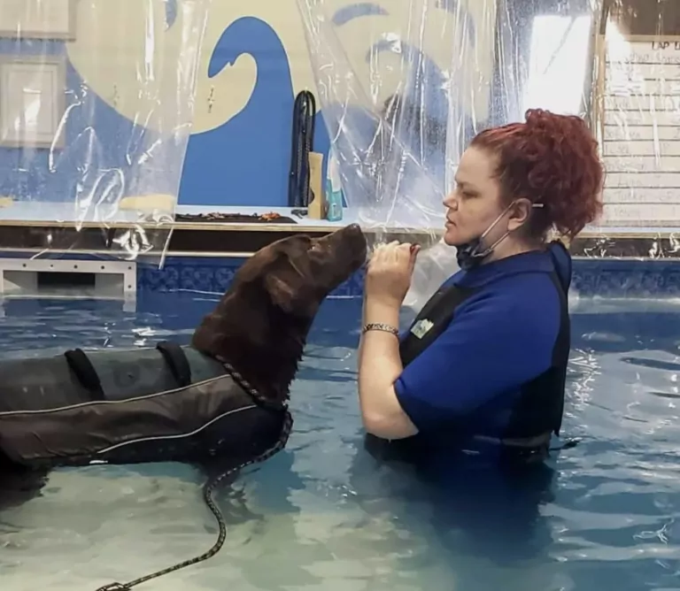 indoor dog pool and wellness centre