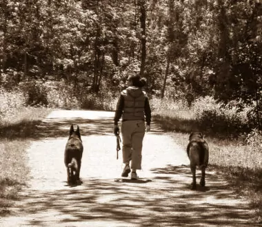 Managing Trail Encounters – Part 1