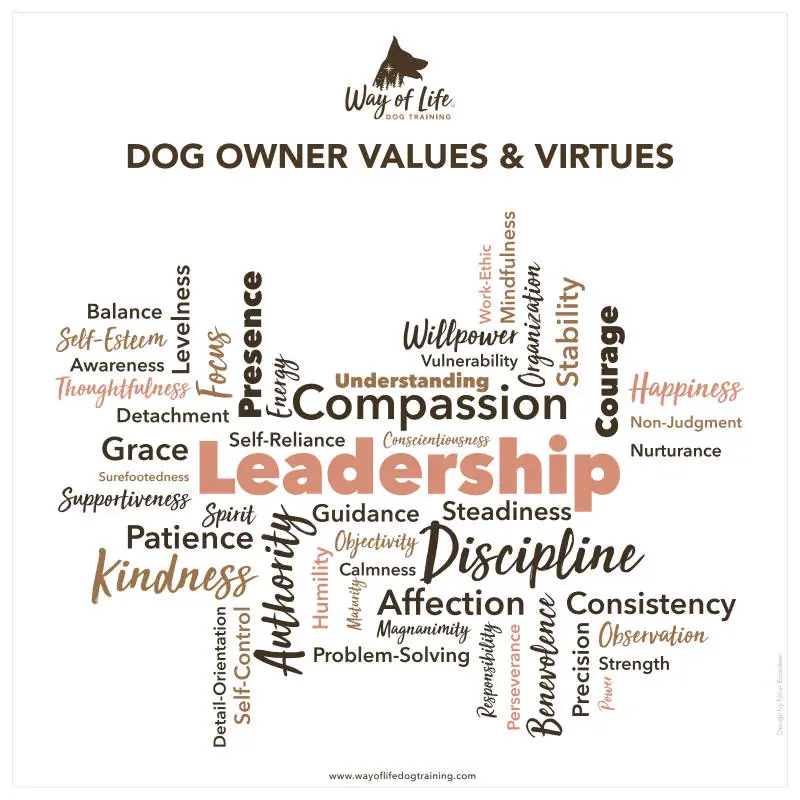 Dog Owner Values & Virtues