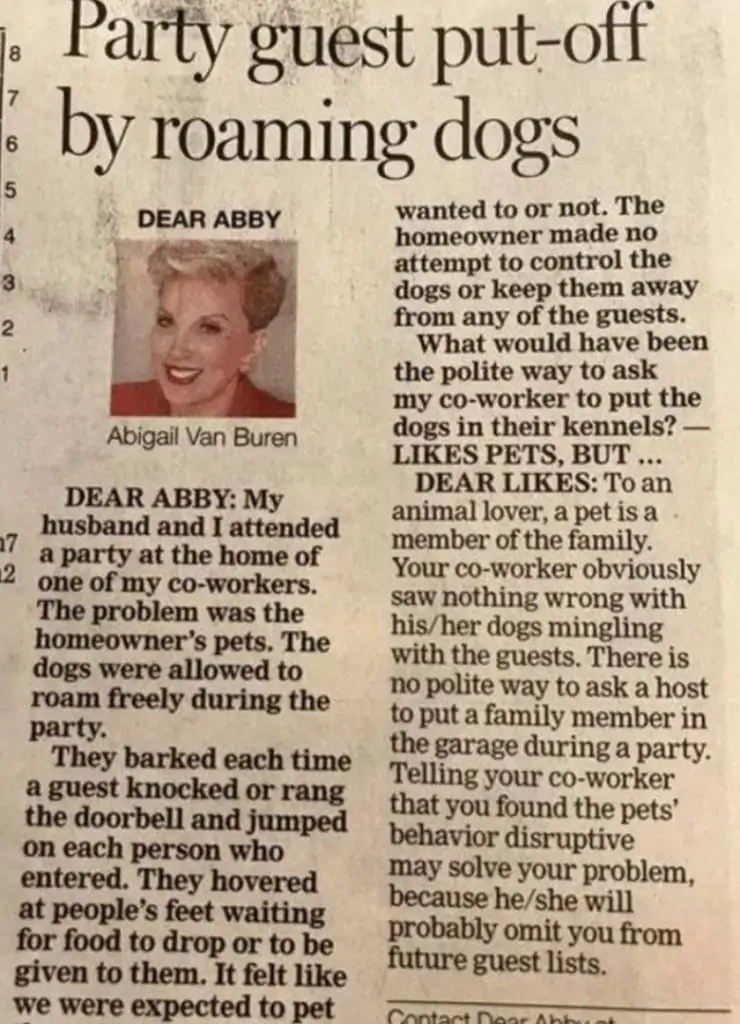 Party guest put off by roaming dogs - newspaper snippet