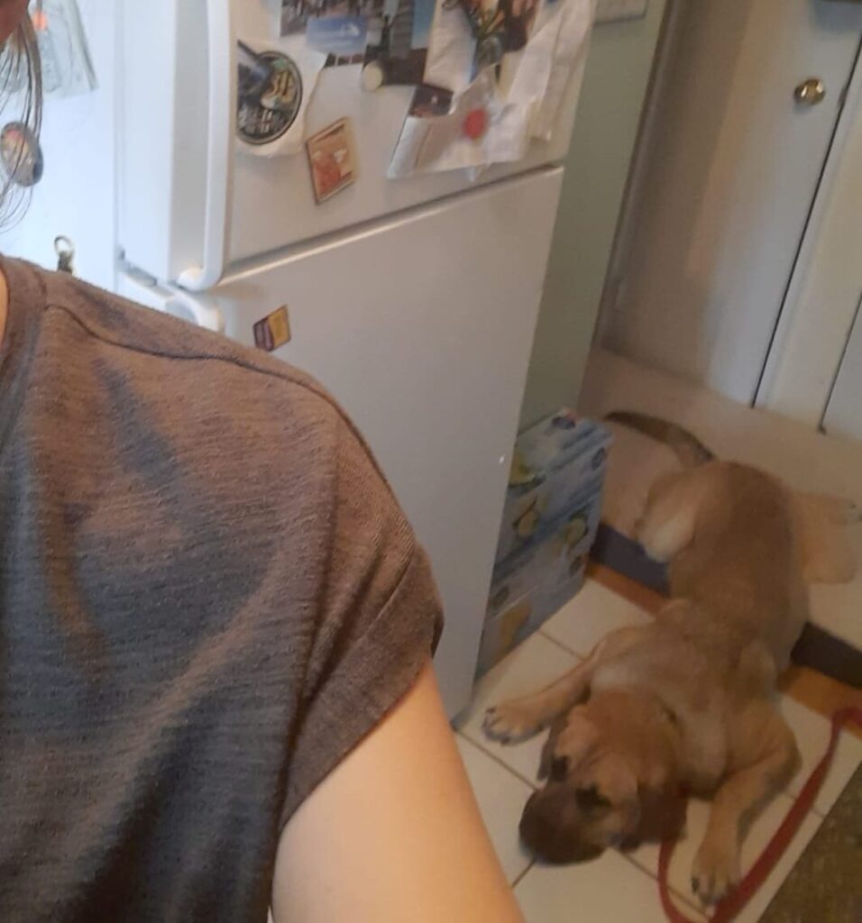 PHOTO 2020 09 28 20 07 33