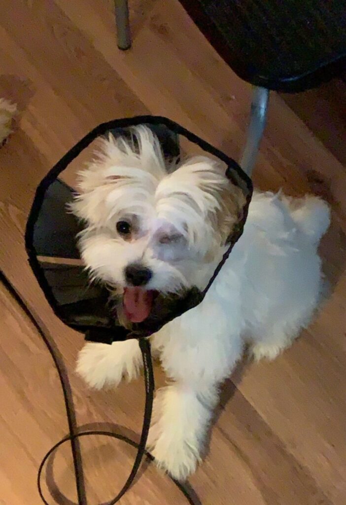 PHOTO 2021 05 03 08 04 16