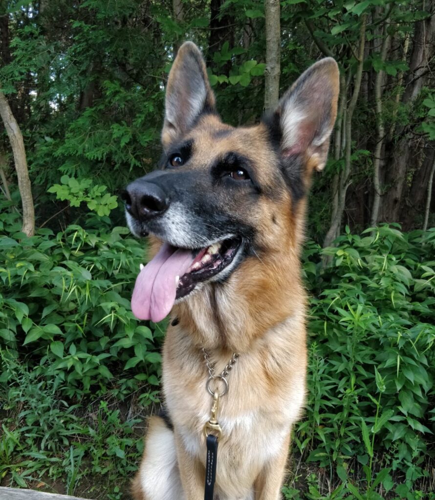 PHOTO 2021 08 04 23 25 49