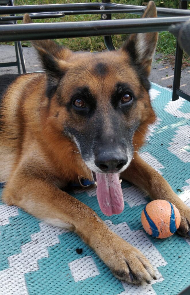 PHOTO 2021 10 10 16 35 00