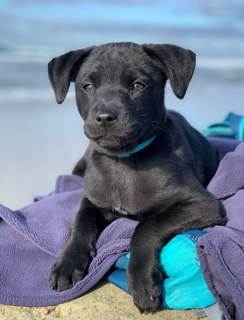 PHOTO 2022 01 21 20 51 12