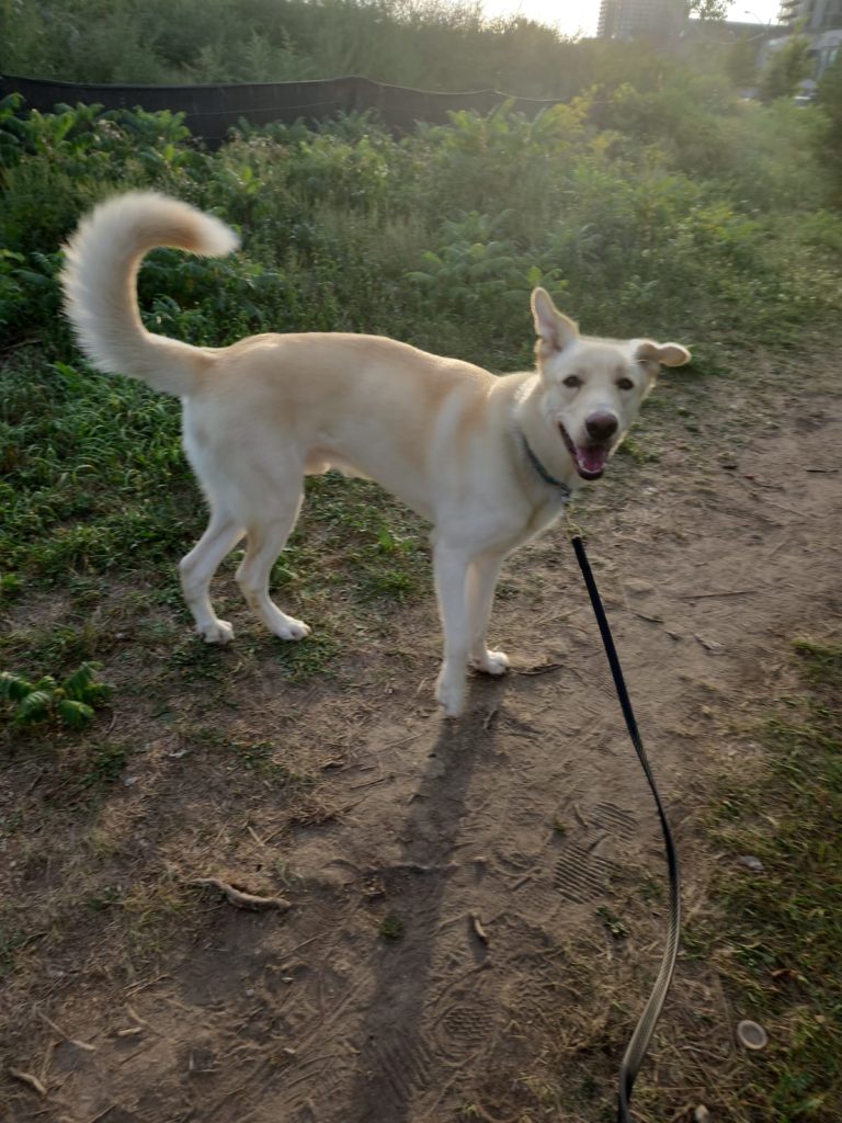 PHOTO 2022 09 10 18 42 05