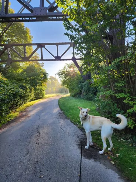 PHOTO 2022 09 30 09 12 24