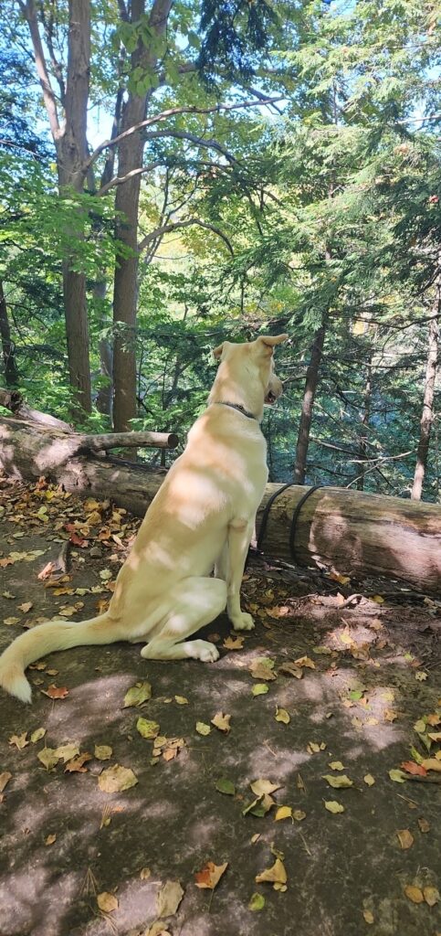 PHOTO 2022 09 30 13 57 55