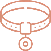 collar icon