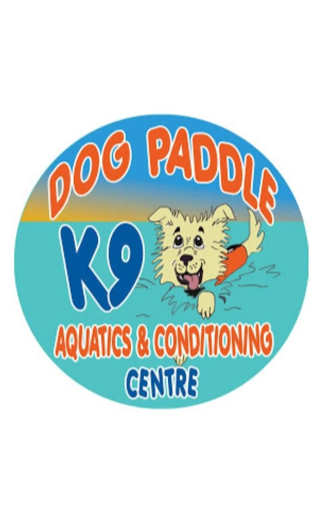 dog paddle k9 630x1024 1
