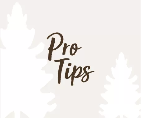 pro tips archive img