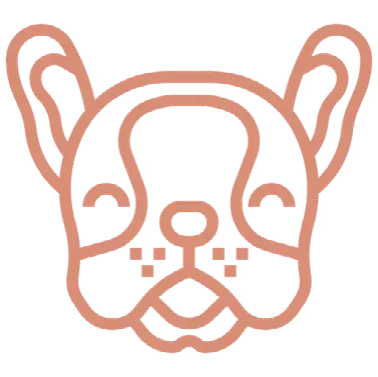 pug face icon