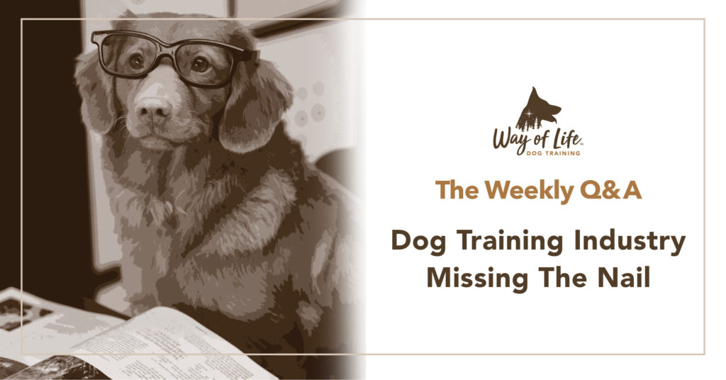 Dog Training Industry