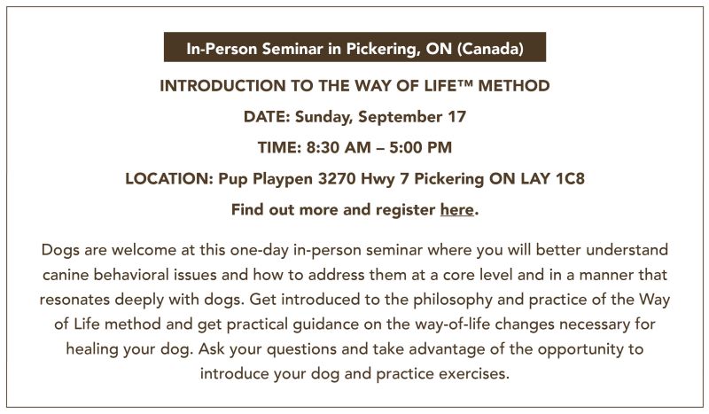 september in person seminar