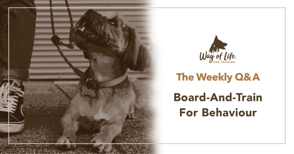 Board and Train for Behaviour