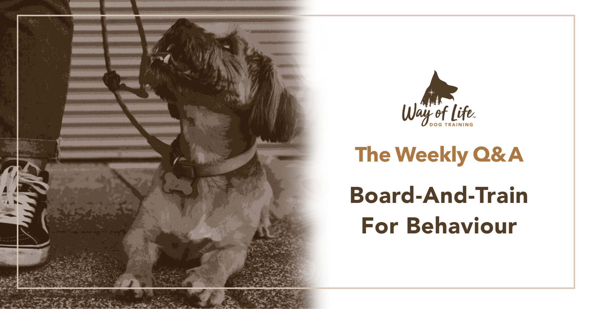 BoardandTrain For Behavior Way of Life™ Dog Training