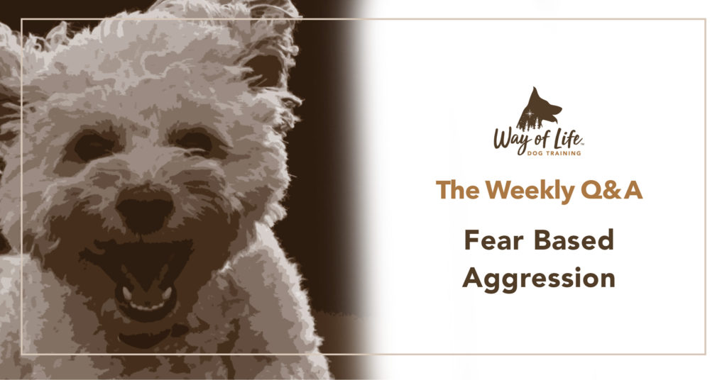 Fear Based Aggression