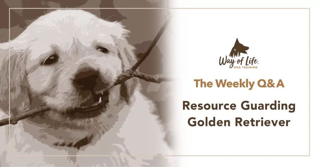Resource Guarding Golden