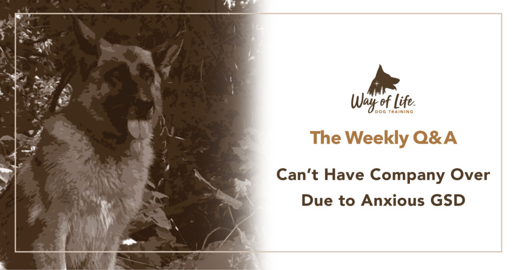 Weekly Q&A Cant have company