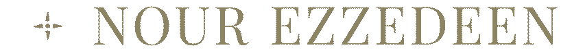 anim logo siteweb