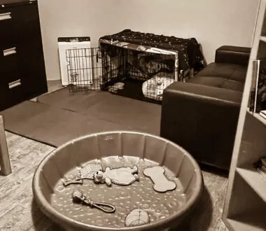 Declutter this Holiday Season to Set Up an Indoor Training Space