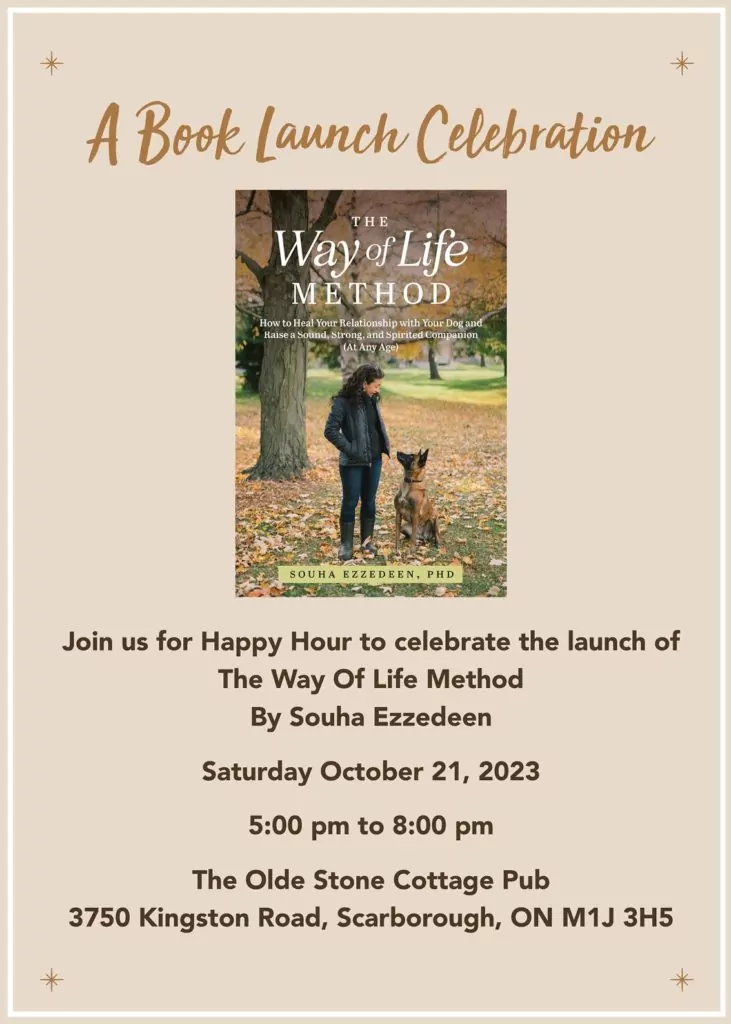 book launch celebration