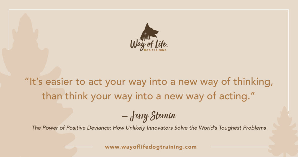 Jerry Sternin Quote