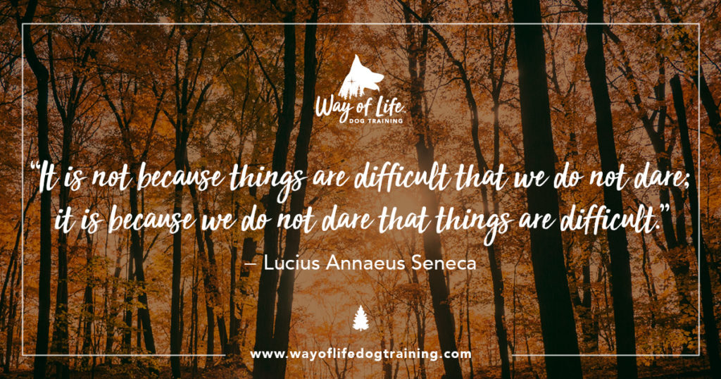 nature designs fall4