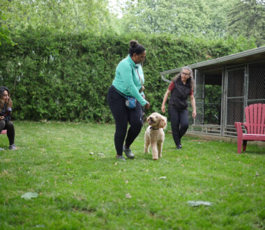 coaching and training sessions in newmarket