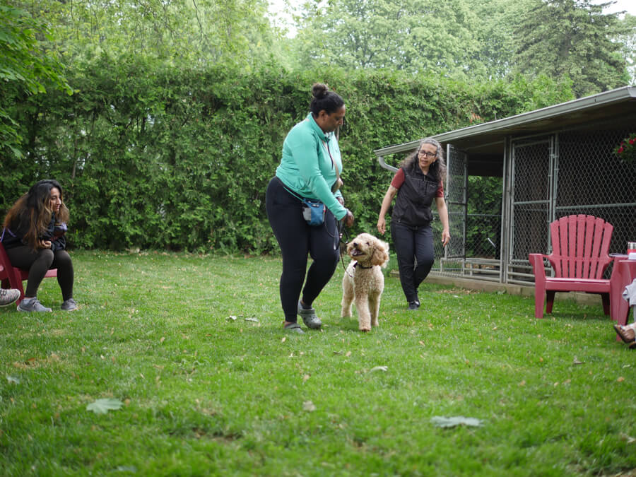 coaching and training sessions in newmarket