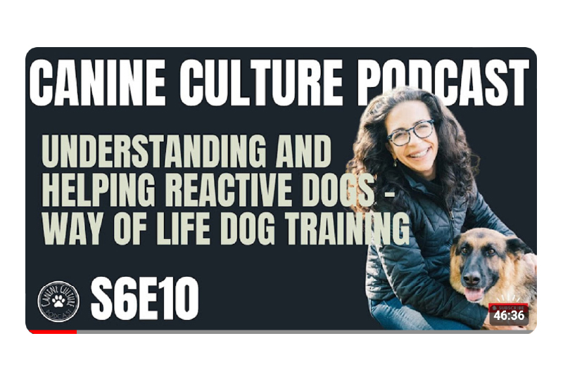 canine culture podcast thumbnail@800x 100