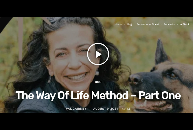 way of life method part one thumbnail@800x 100