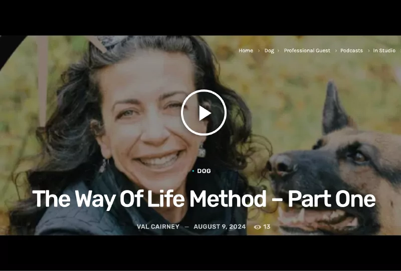 way of life method part one thumbnail@800x 100