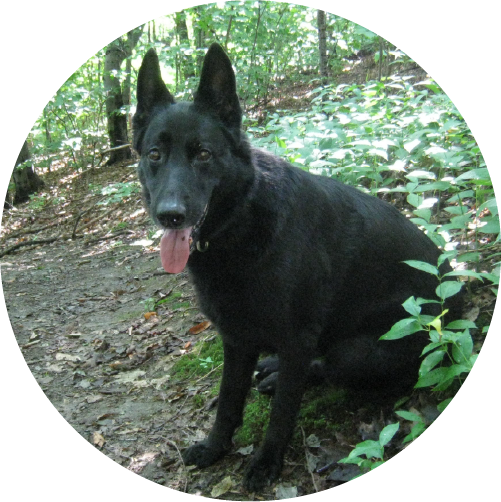 maya img 2
