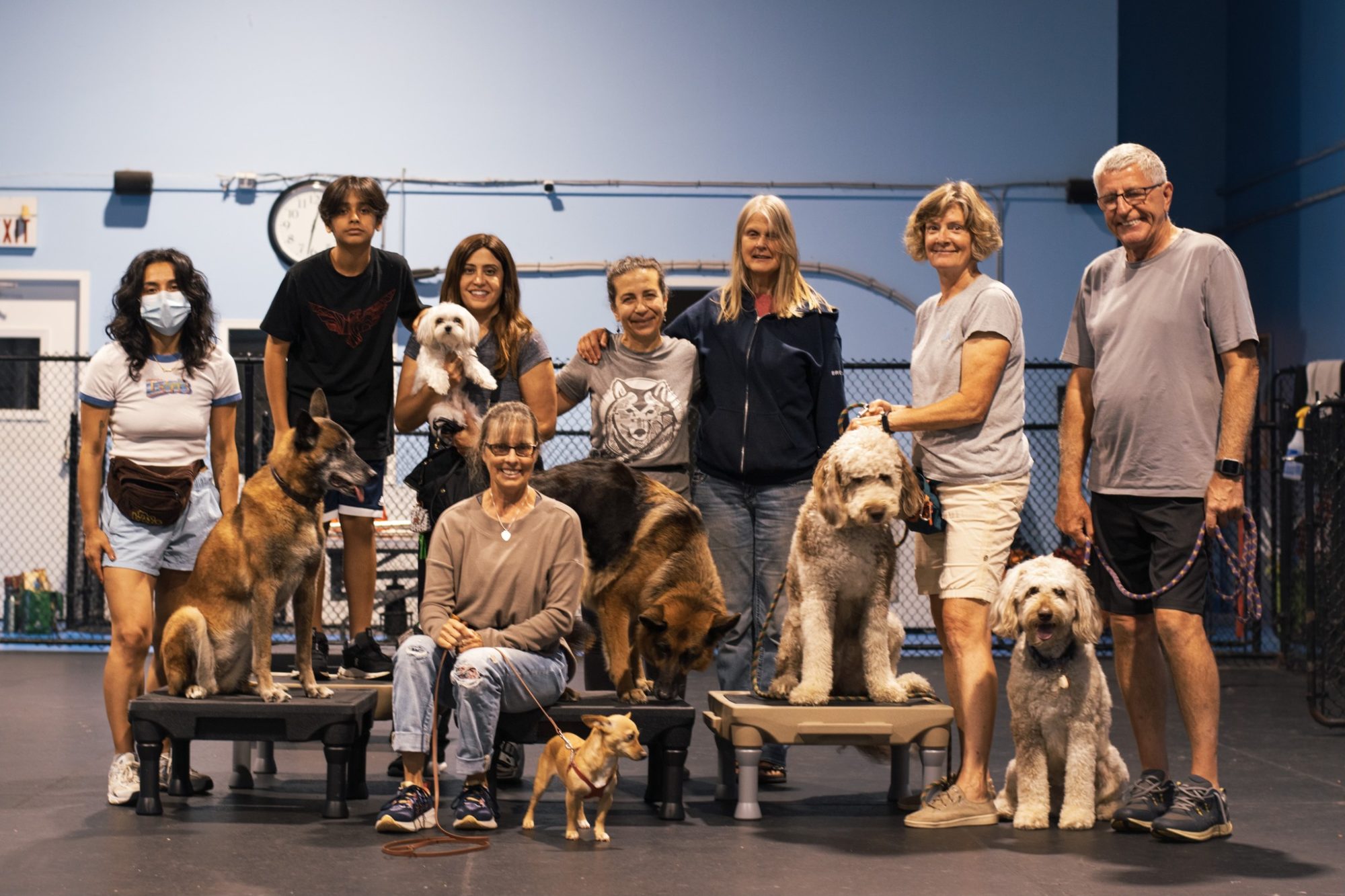 Dogs Community Our Values as the Way of Life Method Community | Way of Life® Dog Training