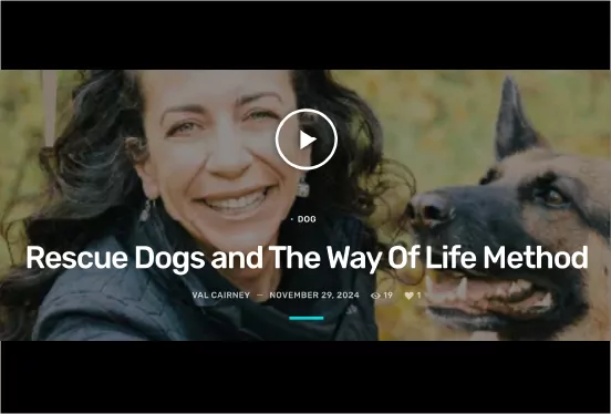 rescue dogs and the way of life method media thumbnail