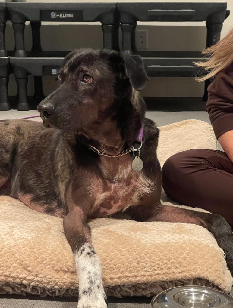 466376100 10212981652852063 1402273432259640365 n