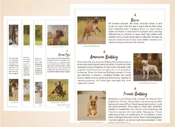 Understand Your Breed or Breed Mix Information Sheets 100