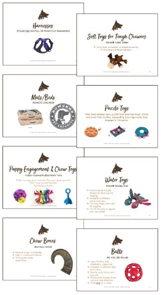 tools and toys popup img