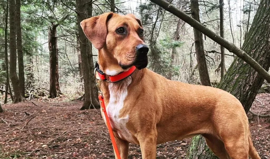 403682733 10168410812920710 192932739254332458266 n e1758990515472