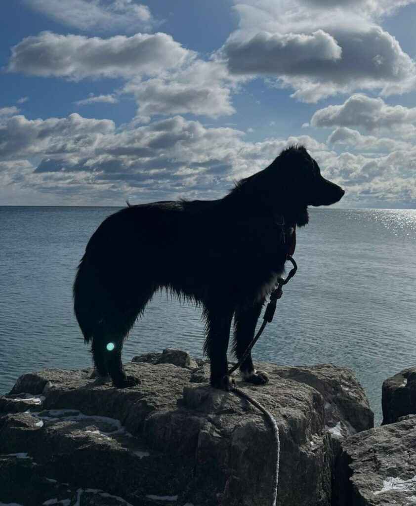 PHOTO 2023 03 19 13 19 0823