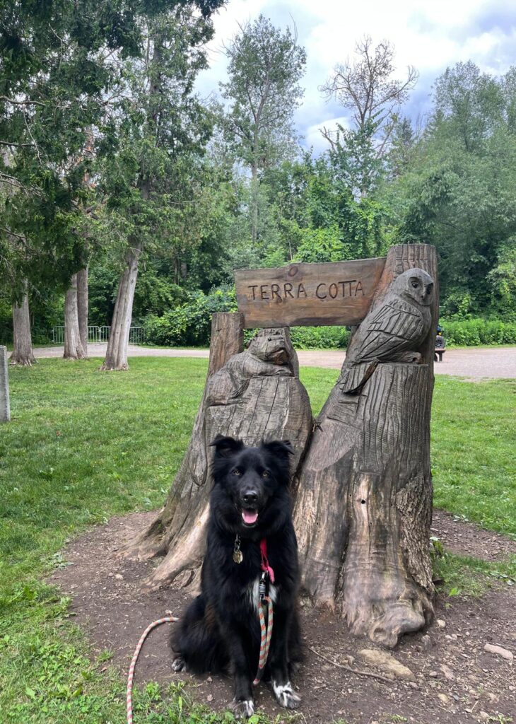 WhatsApp Image 2023 07 09 at 5.13.38 PM