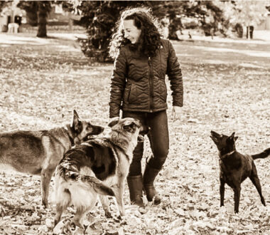 It Matters How We Handle Our Dogs