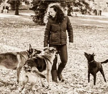 It Matters How We Handle Our Dogs
