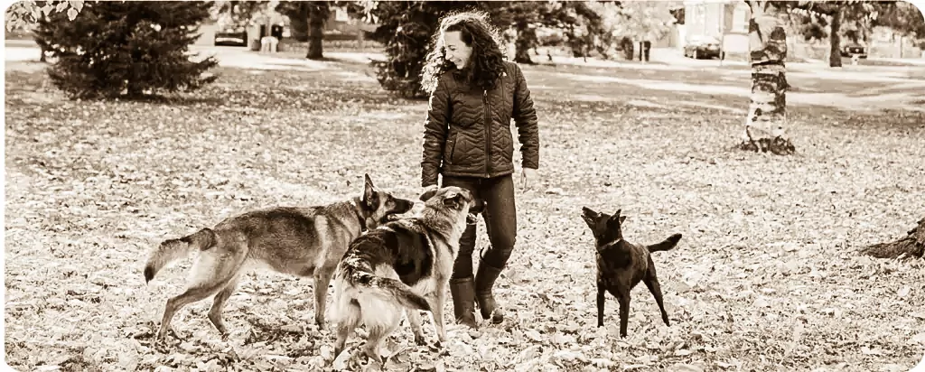 It Matters How We Handle Our Dogs
