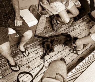 Proximal Socialization