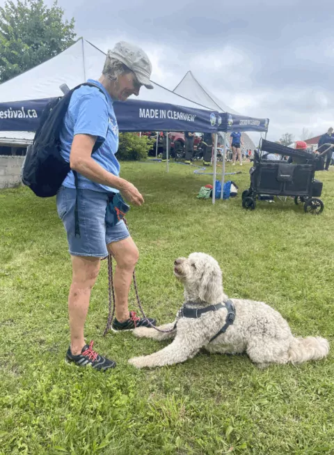dog socialization
