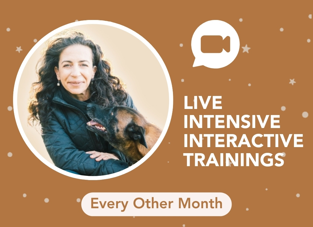 ff 98312f47d33bfa846e79fc05af261f80 ff Live Intensive Interactive Trainings